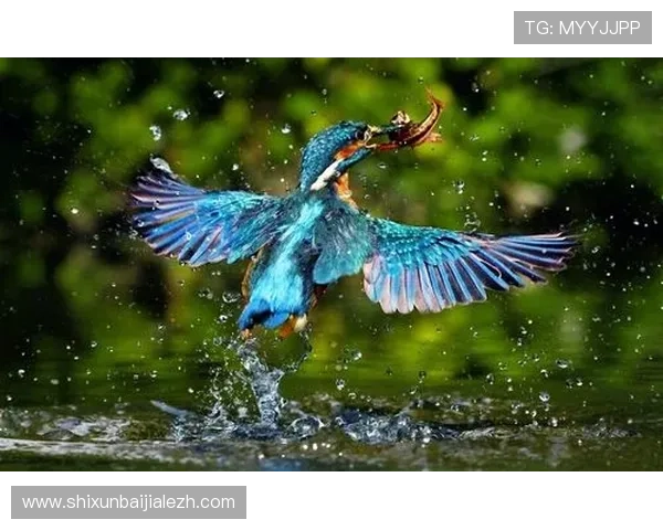 如何快速上手ag捕鱼客户端新手攻略，轻松成为捕鱼高手