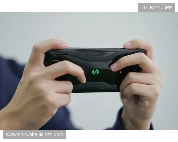 真人电子mg登录入口全新升级，提供多样化游戏选择与优质服务体验